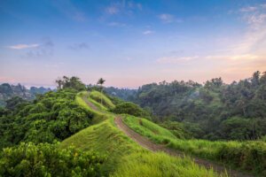 2 Day Ubud Itinerary: Visiting Bali’s Spiritual Hub in Two Days