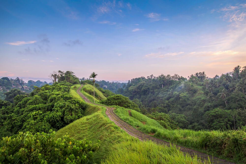 Sunrise in the Campuhan Ridge Walk area of Ubud, bali, with the sky softly lit up in pastel shades as the day breaks