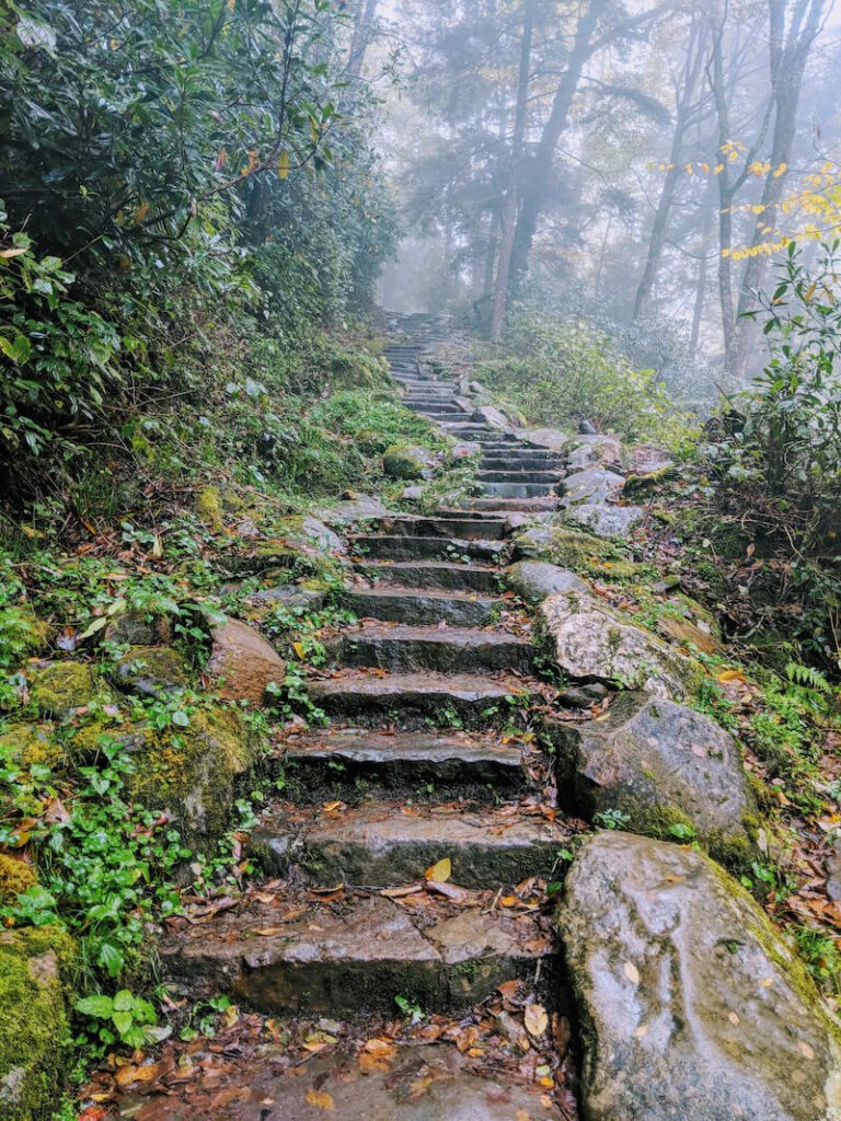 Foggy view of the stone steps leading up to the summit of the chimney tops trail in the Great Smokey Mountain National Park for a great view
