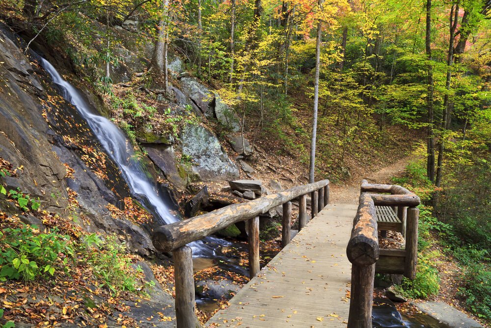 Bench and place to rest at Juney Whank Falls in on the Deep Creek Falls trail, at the first waterfall where you can turn around after if you want to stop
