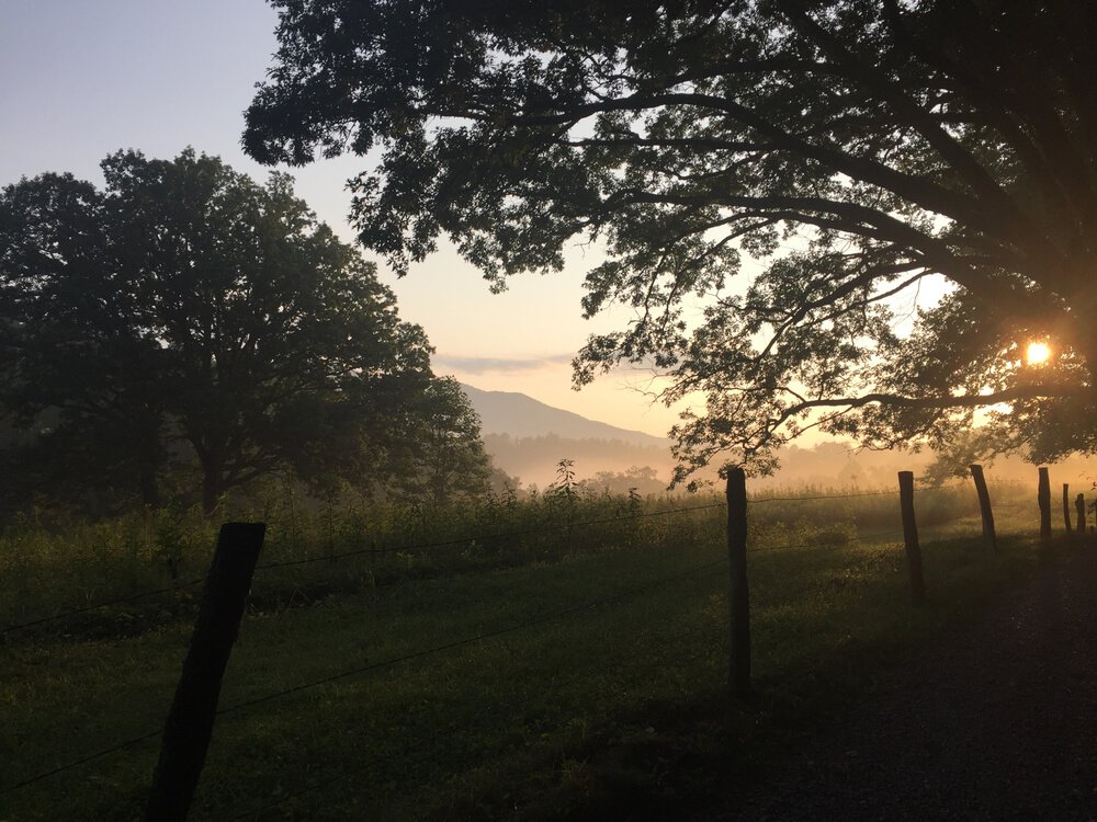 sunrise in the cades cove area of the great smokies