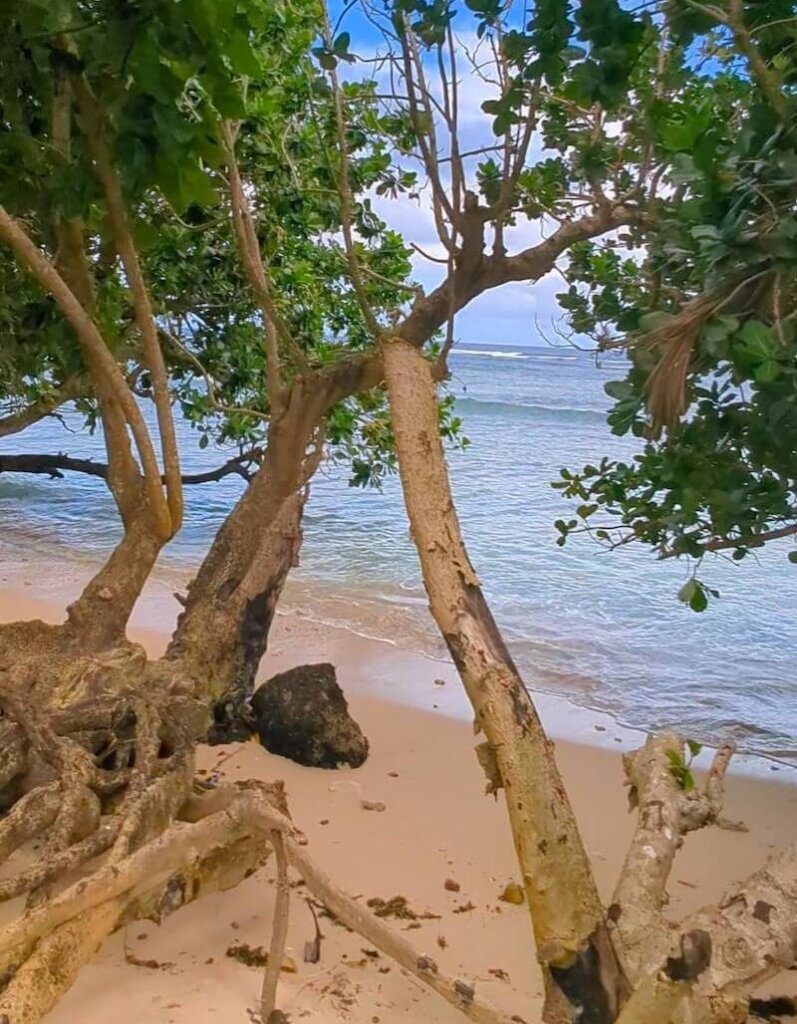 walk along the beach portion of the lavena coastal hike