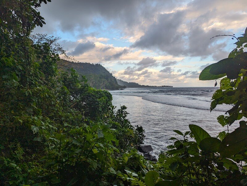 the lavena coastal walk trail around sunset with cloudy pastel sky and palm trees and waves