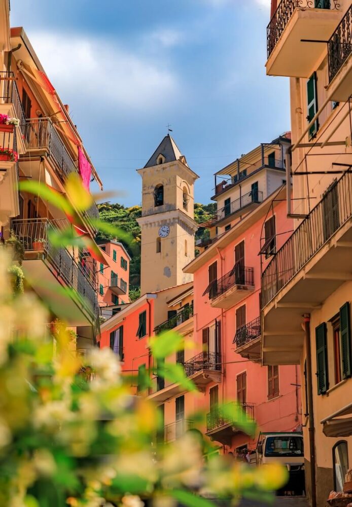 Traditional colorful houses and flowers in. bloom on a street in old town Manarola, with a view of Chiesa di San Lorenzo.