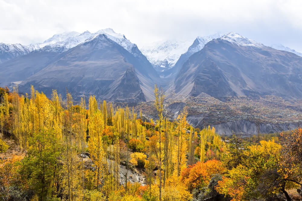 mountains in pakistan with snow cap in the fall and all sorts of autumn trees in shades of orange and yellow