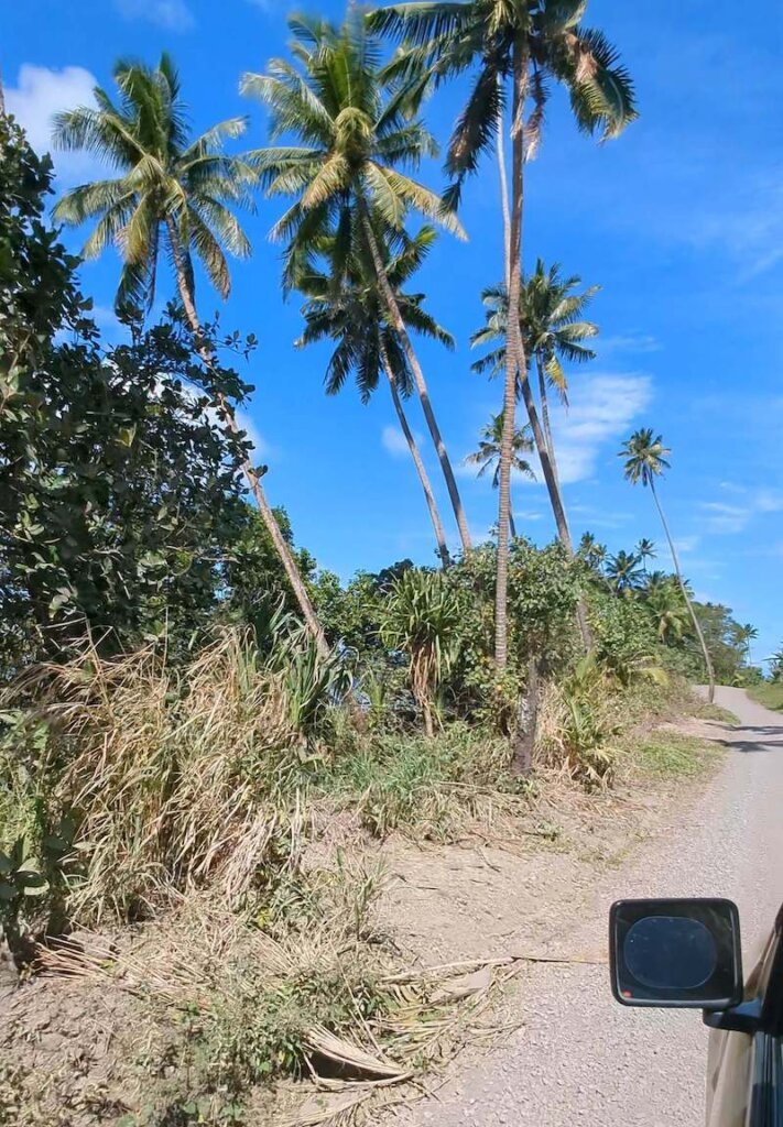 the bumpy unpaved road to lavena coastal path and the waterfall at the end of  it, with palm trees and rearview mirror