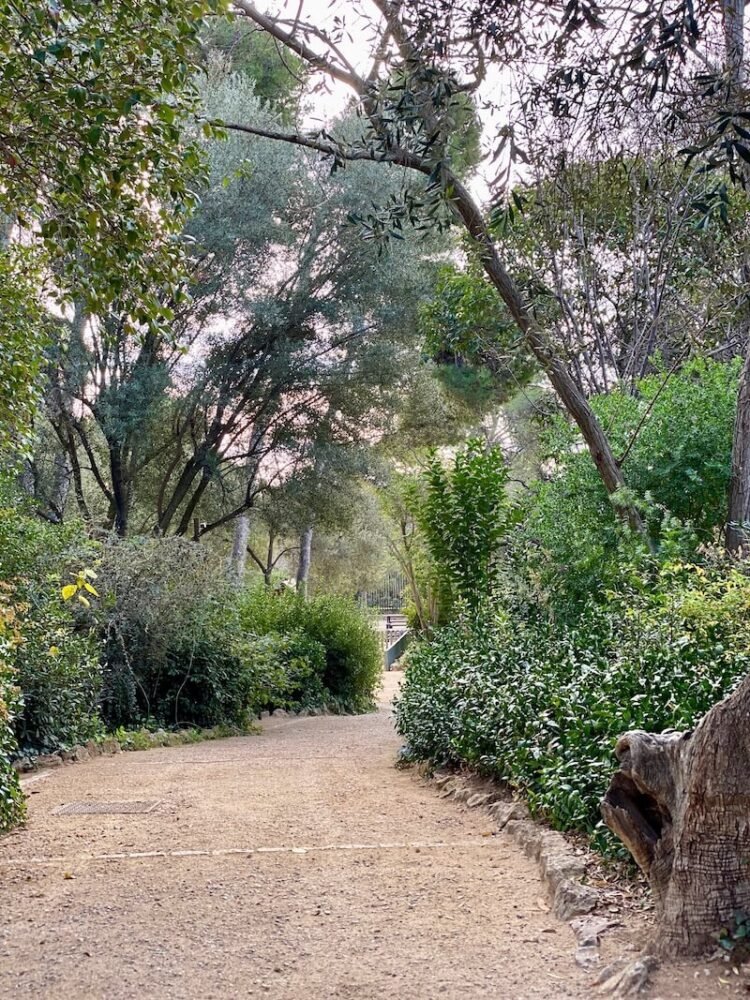 Taken on a walk in Park Guell, in the forested section of the park that is not as touristy, very green and forest-like