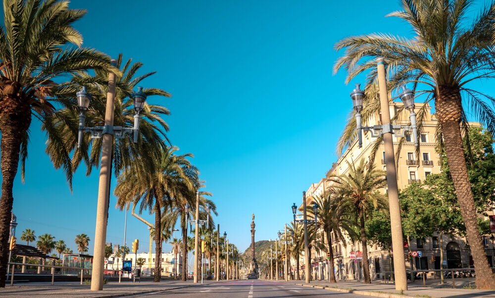 Passeig de Colom street and The Columbus monument (or The Colon) in Barcelona, Spain with amazing palms and clear blue sky.