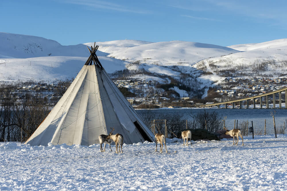 tent and reindeer outside of a city center on the other side of the water with a bridge visible in the distance