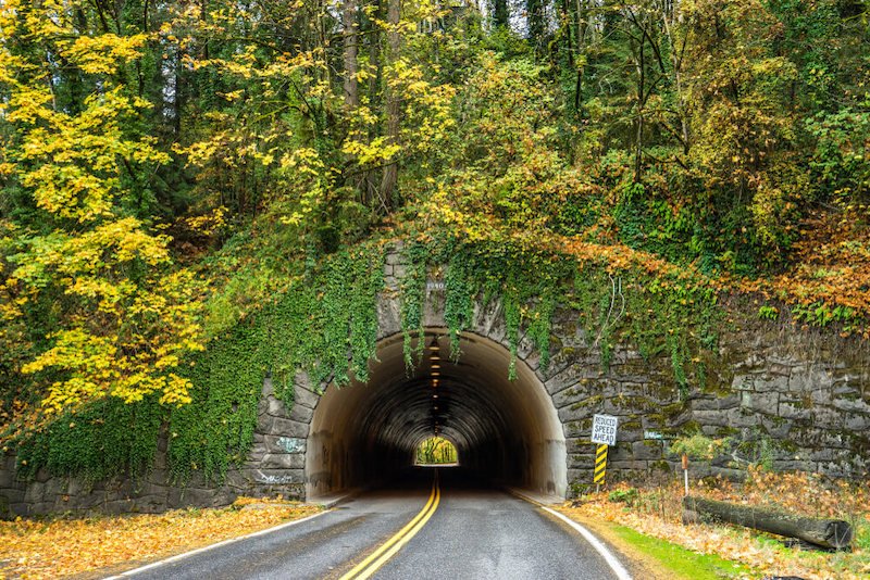 A hill with fall trees in yellow and green with a stone tunnel in a hill running through a forest on the Road to Nowhere in the Great Smoky Mountains