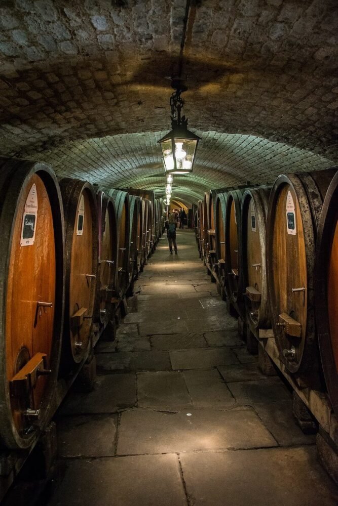 An atmospheric wine cellar with a vaulted stone ceiling and hanging lanterns casting a soft glow. Lined on both sides of the narrow aisle are large wooden wine barrels, some with visible labels. The stone floor, with its weathered appearance, guides the viewer's eyes to a distant figure, lending a sense of depth and intrigue to the scene.  