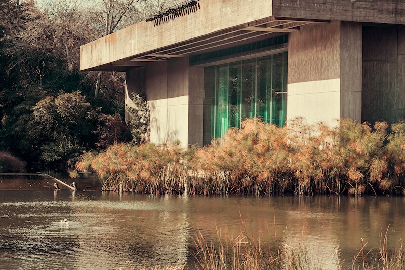 Modern concrete building with a large green-tinted window overlooking a serene pond. Lush reeds and grasses grow along the water's edge, and a bird is seen gracefully swimming on the water's surface. Exterior of the museum in Lisbon in winter.