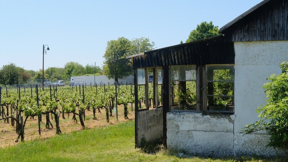 A cellar of winery in the etyek region of hungary known for its wines