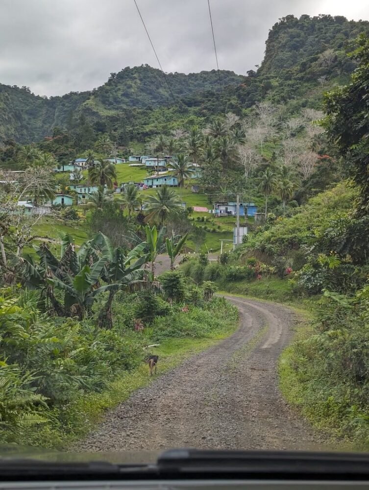 The dusty road that leads to the village of Savulelele Waterfall, with green foliage and a bunch of houses on the hillside