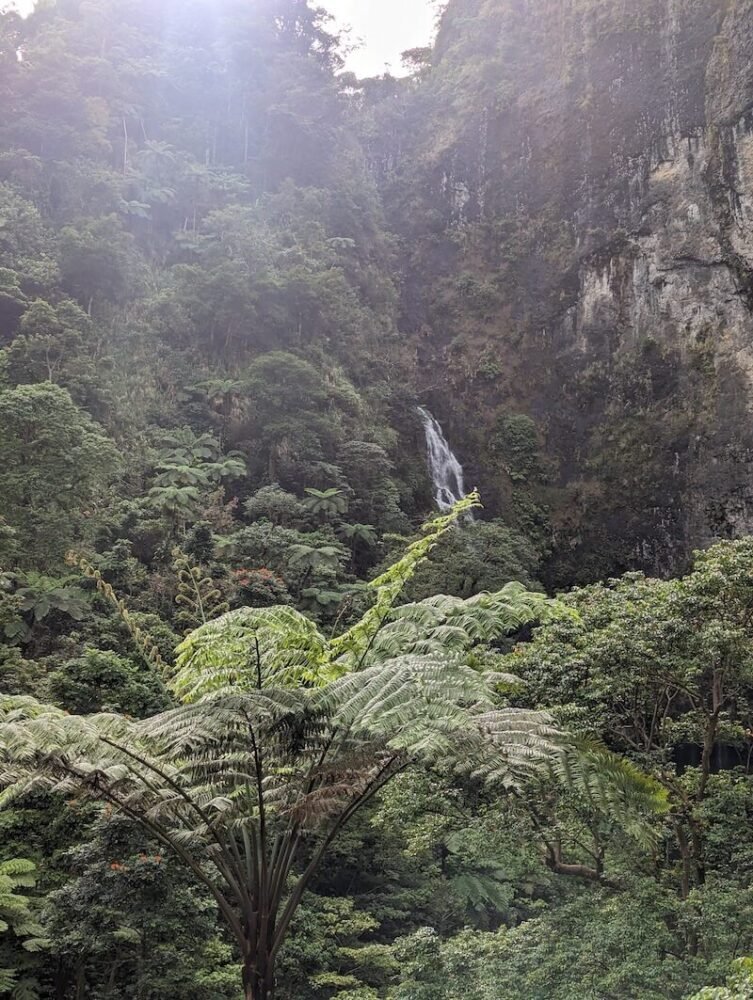 view of the savulelele waterfall from afar while still hiking on the trail to lead you to the path to the waterfall