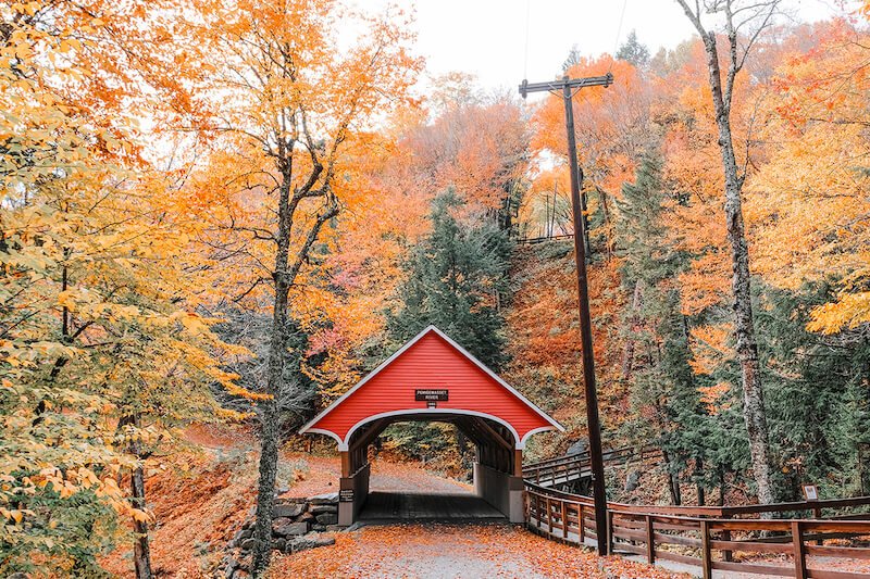 A red covered bridge surrounded by yellow and orange trees while road tripping in the White Mountains