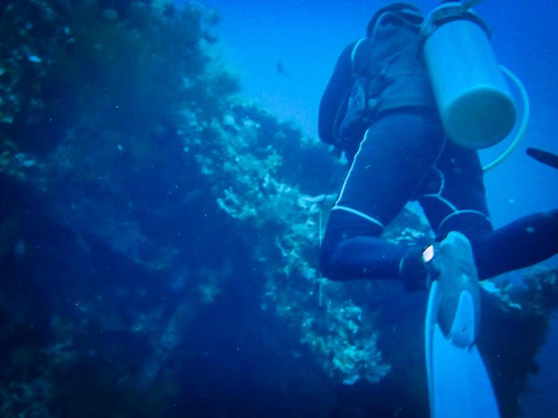 A diver exploring the wreckage of the USAT Liberty on a dive wearing scuba gear