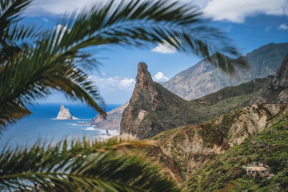Palm tree framing the view of Roque de las Animas crag in Anaga park, Tenerife, and the coastline of the water with sea stacks and beautiful coastline on a sunny day with some clouds in the sky in Tenerife.