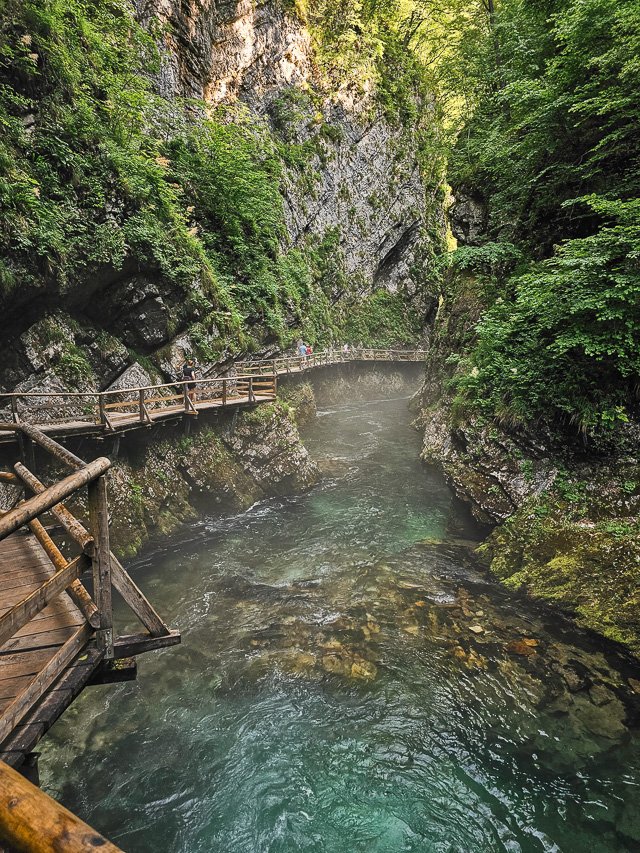 beautiful hazy landscape of the vintgar gorge in Slovenia with water, bridge, and trees