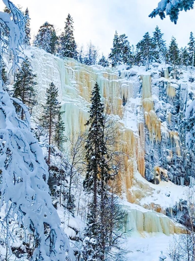 Tree with snow covering it in front of an ice covered waterfall in Finnish Lapland's beautiful Korouoma Canyon