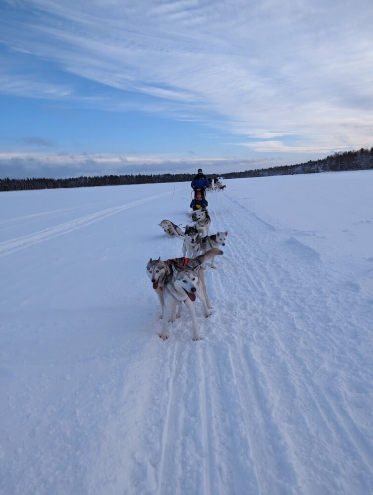 A team of six huskies is needed to dog sled