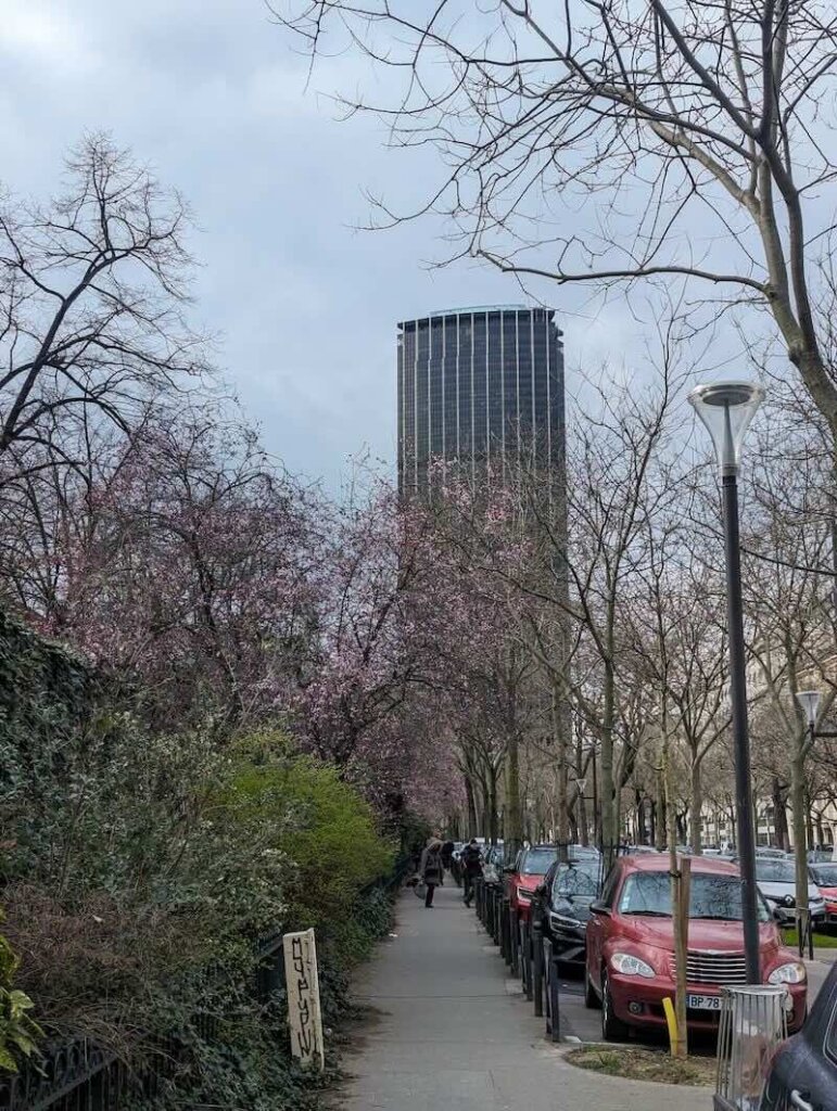 The Tour montparnasse towering above other buildings in the area in Montparnasse cemetery vicinity with a blooming cherry blossom tree