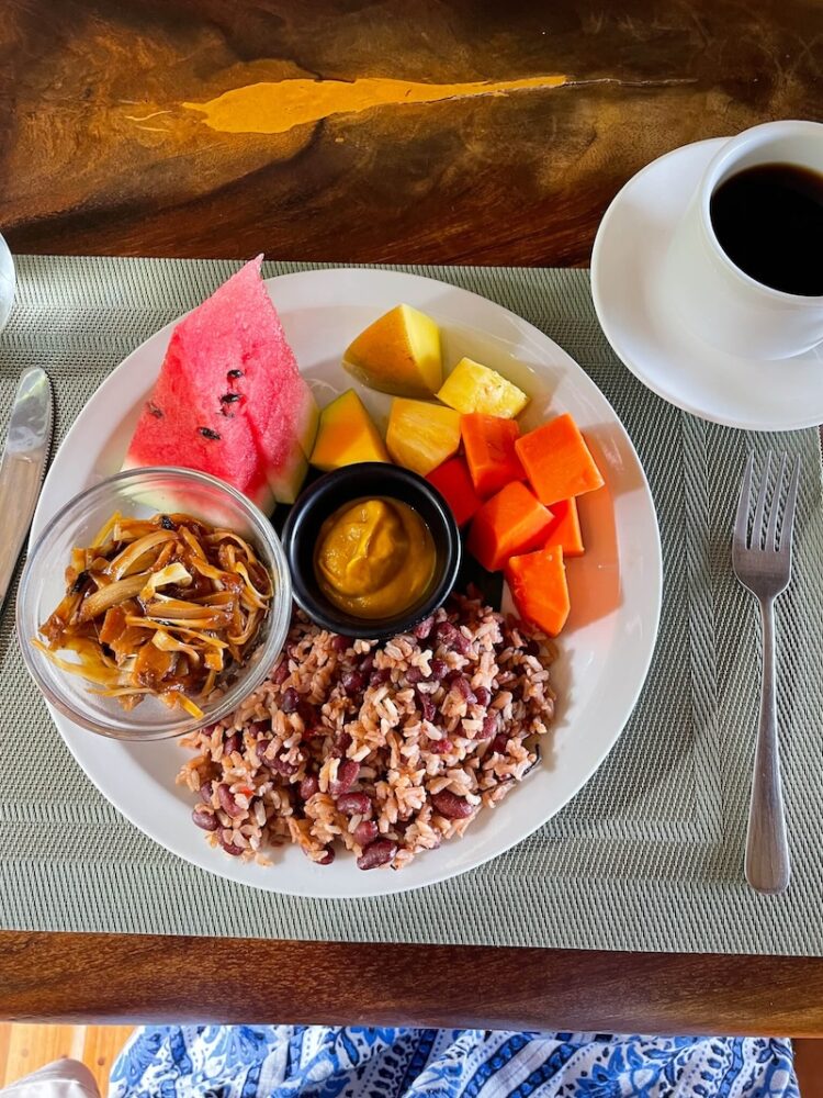 My vegan breakfast at the Selva Armonia jungle lodge - rice, fruit, onions