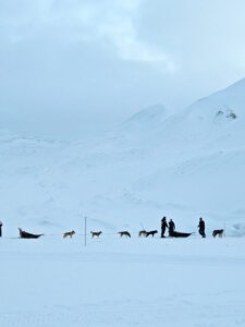 The dog sled tour arriving at the ice caves in mid day in February