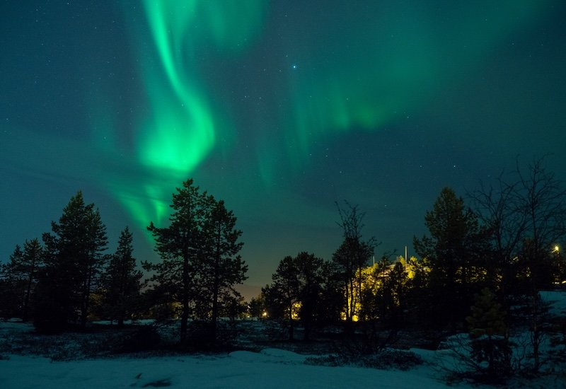 Beautiful northern lights in Alta, Norway with pine trees and other snow landscape