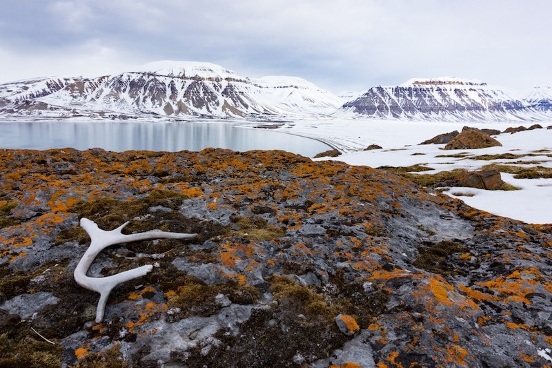 Snow begins to return to Longyearbyen with some orange contrast of the autumn tundra creating beautiful color