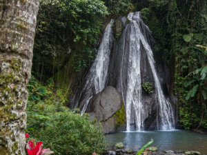 Waterfall with three streams in waterfall with flowers