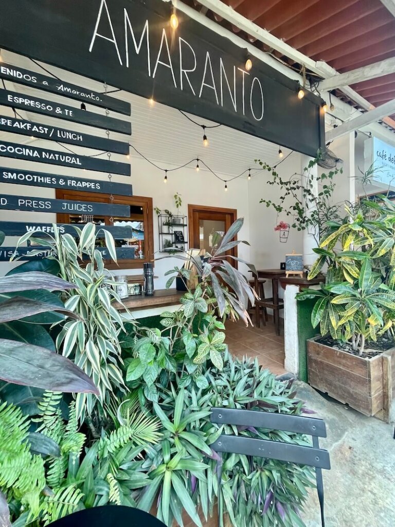 A coffee shop in Bocas del Toro with great wifi and lots of plants in fronts