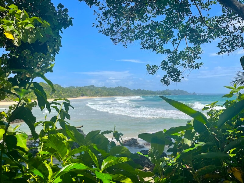 Beach with lots of plants and waves coming in on the beach