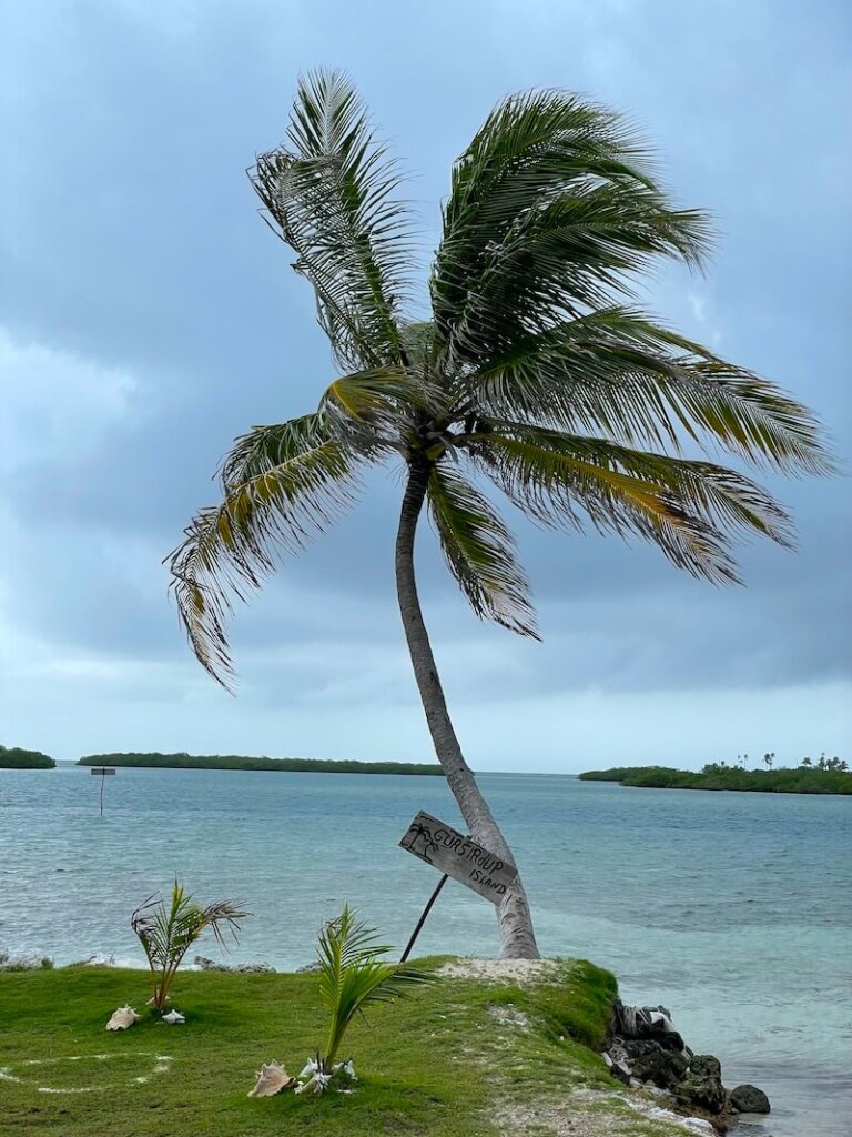 One of the more offbeat islands you can visit in the San Blas island chain