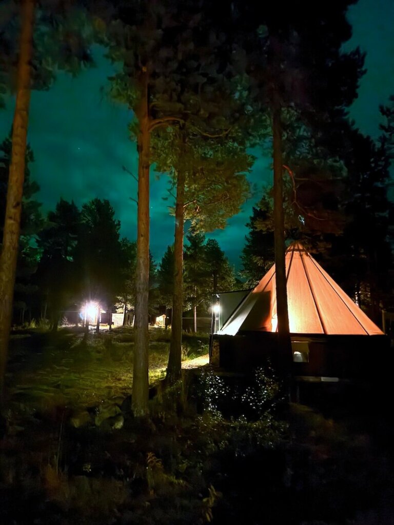 Aurora visible in the sky during the nighttime at Reindeer Lodge but hidden behind the trees