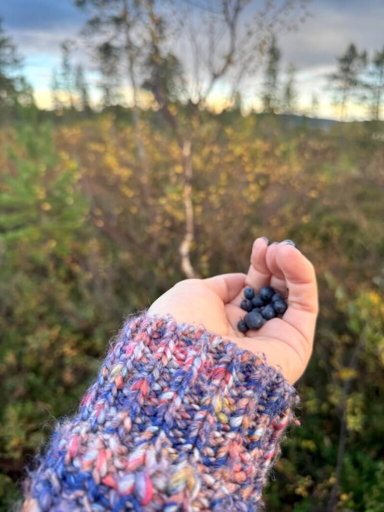 Allison hand holding blueberries that she picked next to the lake