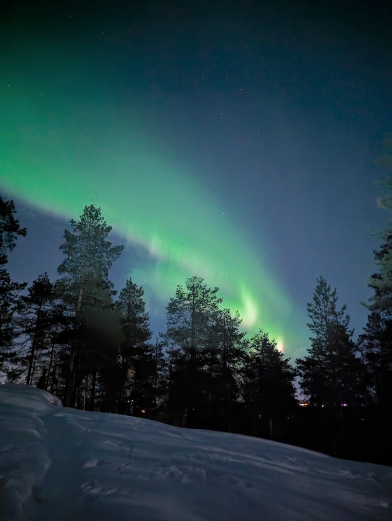 An aurora in the forest with hints of purplish red color brightening it up
