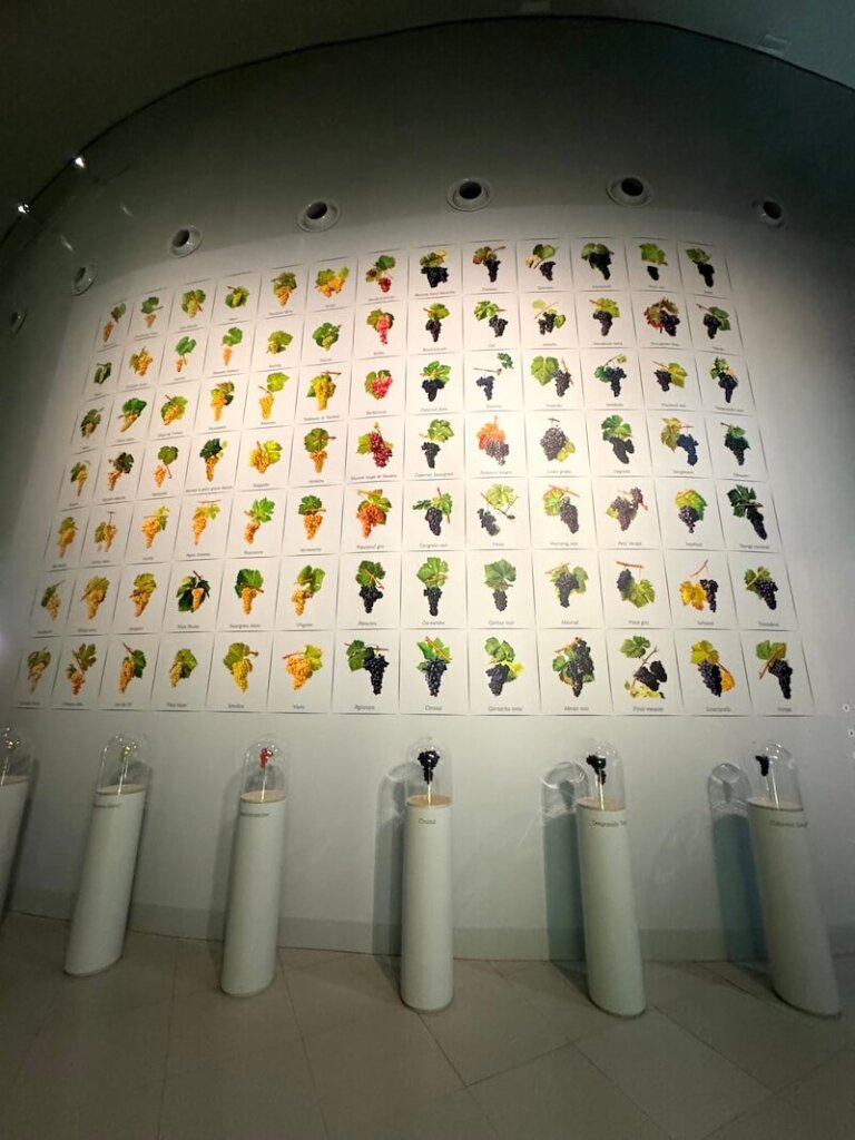 Wine wall at the CIte du Vin showing the different kinds of wine in the world