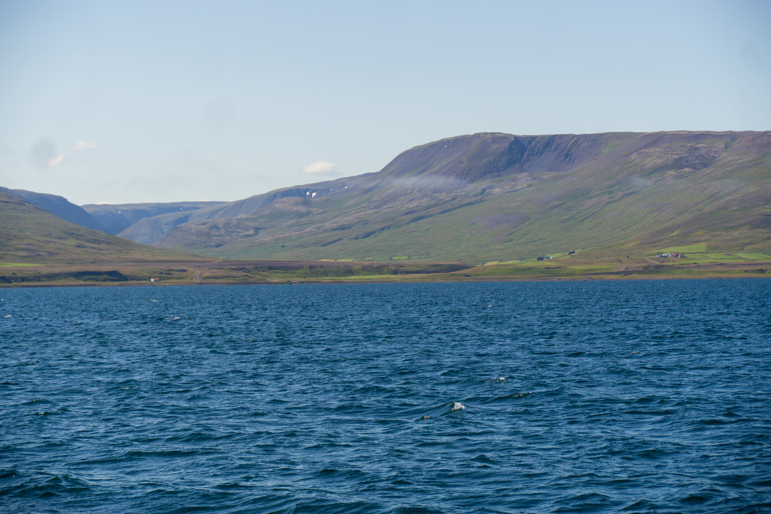 Out on the waters of the fjord on a sunny day