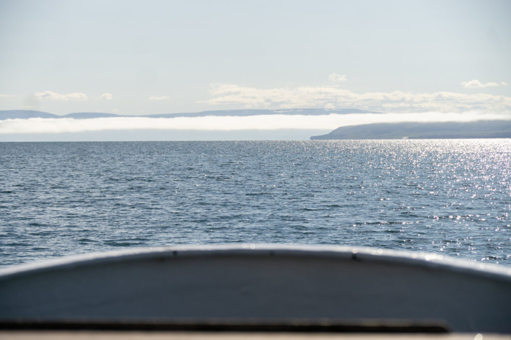Heading out on the boat in the Westfjords