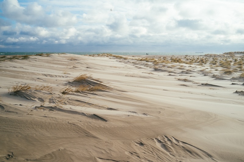 Shifting sand dunes near Skagen