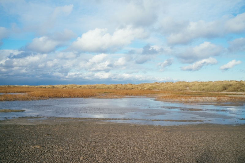 a wetland birdwatching area near the beach