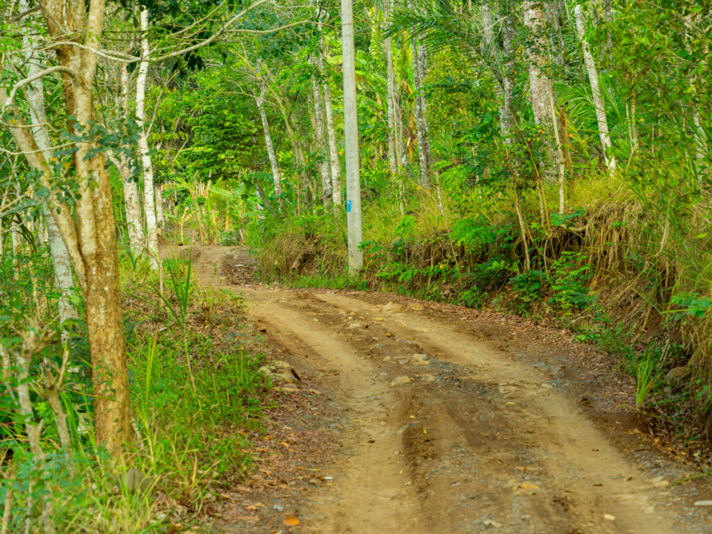 Road conditions on the walk