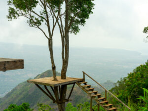 Lahangan Sweet treehouse