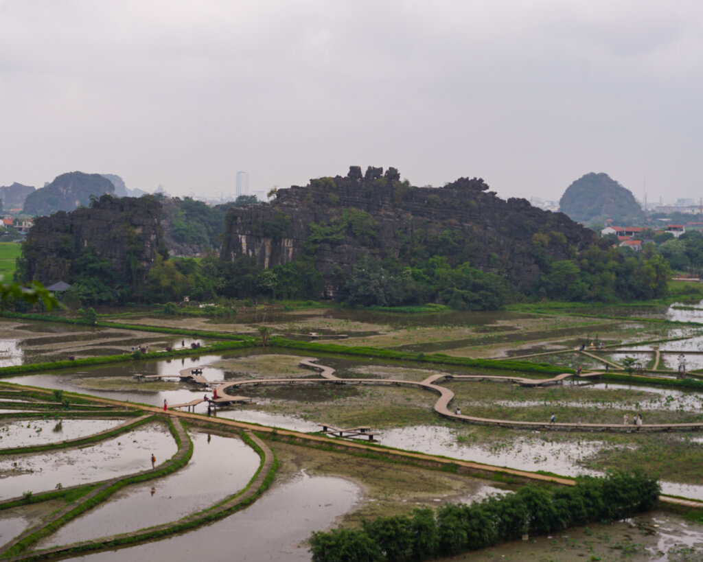 View of the ricefields as you ascend the mountain