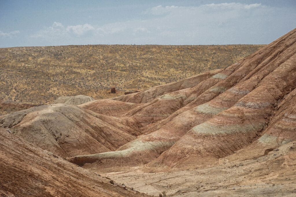 Tiger stripes in the landscape and steppe in the background