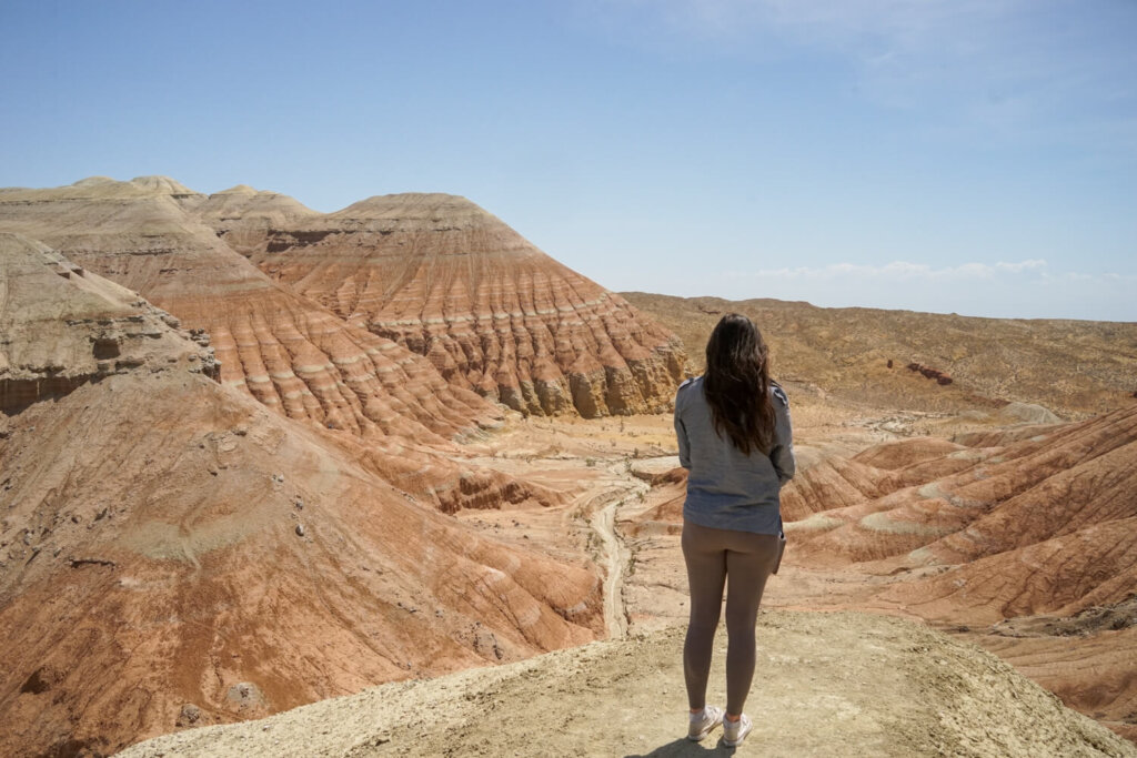 Allison standing at a viewpoint looking onto the striped rocks
