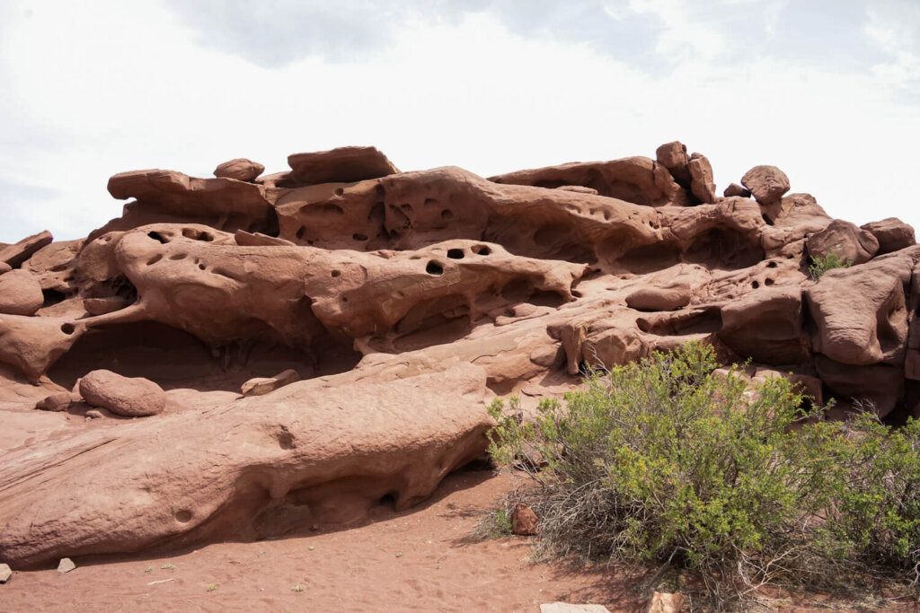 An interesting rock formation with holes in the rock and a reddish brown color and a piece of brush