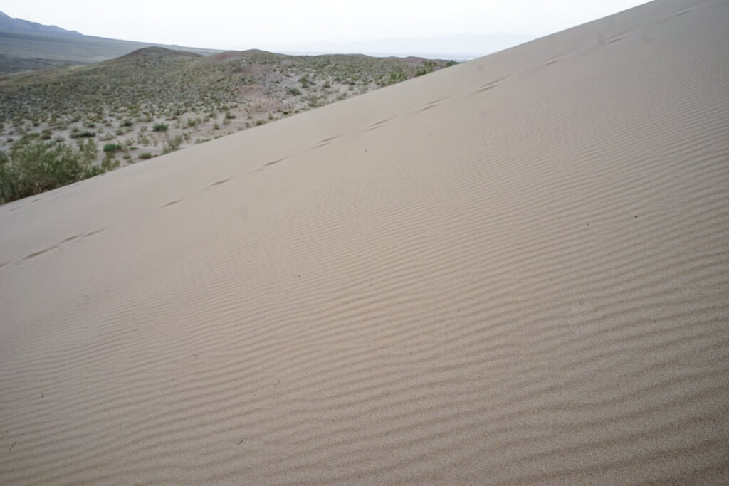 Ripples in the sand and footsteps