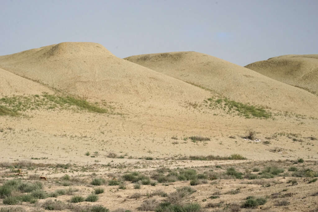 Jagged and intriguing landscapes in the Aral Sea